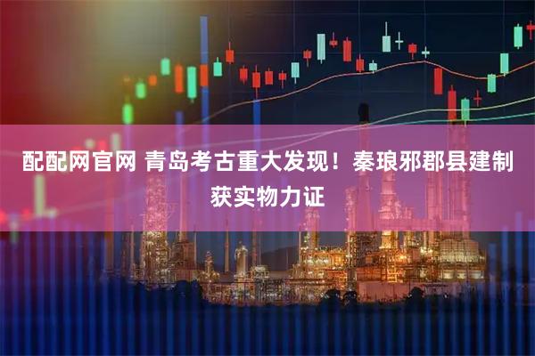 配配网官网 青岛考古重大发现！秦琅邪郡县建制获实物力证