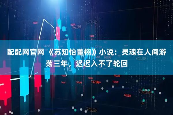 配配网官网 《苏知怡董栩》小说：灵魂在人间游荡三年，迟迟入不了轮回