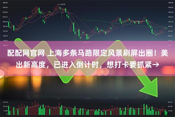 配配网官网 上海多条马路限定风景刷屏出圈！美出新高度，已进入倒计时，想打卡要抓紧→
